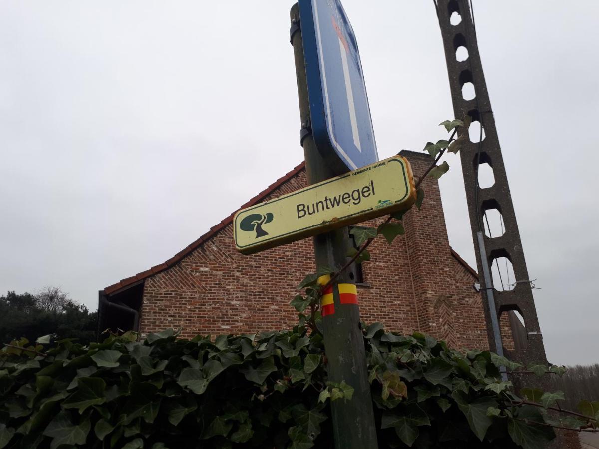 Vertentenhuis Hamme Exteriör bild